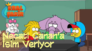 King Shakir Nejati Names Canan Cartoon Youtube