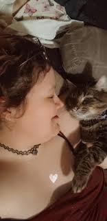 Lost cat returns home after 7 days