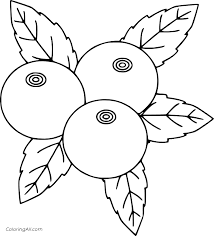 Original artworks traditionally hand drawn by christine karron. Three Simple Blueberries Coloring Page Coloringall