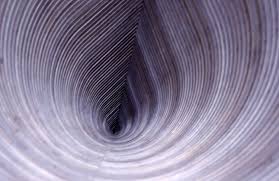 Bildergebnis für Florian Baudrexel & Jens Ullrich