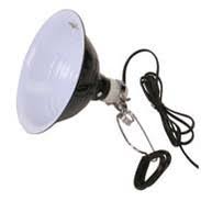 Reptile Lights Lighting Systems Supplies That Pet Place