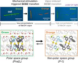 The reversed stimulation arrangement (i.e., l− r+) should result in higher creativity scores. Mechanical Stimulation Triggered And Solvent Vapor Induced Reverse Single Crystal To Single Crystal Phase Transitions With Alterations Of The Luminescence Color Journal Of The American Chemical Society X Mol