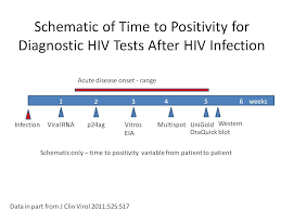 Hiv Antibody Testing At Hup