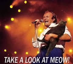 images?q=tbn:ANd9GcT5jXewuxziH-Yi3LIrH8orWMfZG97gaedlKQ&s