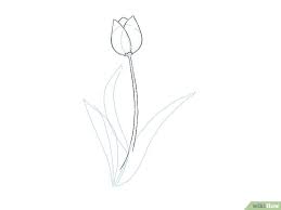 Selain sebagai tanaman, setiap bunga sejatinya memiliki arti tersendiri, termasuk bunga tulip. Cara Menggambar Bunga Tulip Menggunakan Pensil