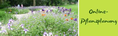 Der bepflanzungsplan ist die detaillierte darstellung der geplanten anordnung der pflanzen im garten bzw. Online Pflanzplanung Der Weg Zu Eurem Wunschbeet