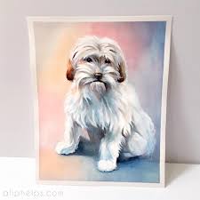 We did not find results for: Pet Portrait Watercolor Gouache 8x10 Watercolor