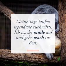 Zu bett gehen is perfectly fine too. Meine Tage Laufen Irgendwie Ruckwarts Ich Wache Mude Auf Und Gehe Wach Ins Bett Whatsapp Status Spruche