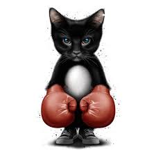 Cat Boxer 2017 Neatoshop Cute Baby Cats Animal Caricature Cat Art