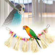 Zurück zu „haltung und ernährung von wellensittichen. Weihnachtsvogel Papagei Hangende Schaukel Kafig Spielzeug Seil Wellensittich Eur 4 75 Picclick De