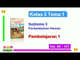 Tema 6 kelas 3 hal 98. Kelas 3 Tema 1 Subtema 3 Pembelajaran 1 Hal 98 107 Pertumbuhan Hewan Pembahasan Materi Youtube