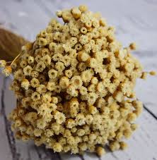 Maybe you would like to learn more about one of these? Dried Straw Flowers Happy Flower