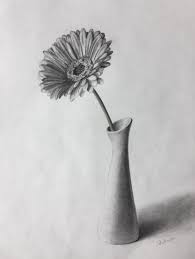 80 Gerbera Flower In A Vase Still Life Sketch Original Art Graphite Pencil Drawing By Flower Sketch Pencil Pencil Drawings Of Flowers Flower Vase Drawing