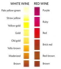Wine Colour Chart Wine Oclock Wine Wine Facts Wine Chart