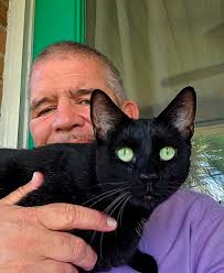 adopting a black kitten from gulf coast equine hospital