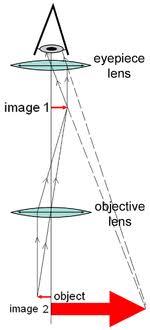 Optical Microscope Wikipedia