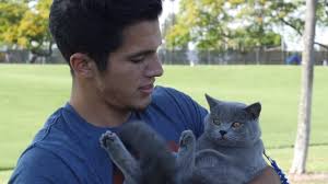 YouTube Millionaires: Aaron Benitez's Special Effects Skills Make His  Videos (And Their Star, A Cat Named Prince Michael) Look Like Magic