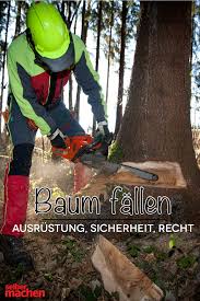 Baum Fallen Alles Was Du Wissen Musst Uber Sicherheit Ausrustung Und Recht Baum Fallen Baum Pflanzen