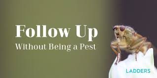 The questions have been organized by topic. Follow Up Without Being A Pest