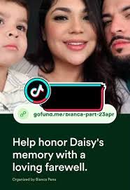 Daisy Rapp's Instagram, Twitter & Facebook