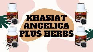 Rm55.00 (sm) / rm 57.00 (ss) kandungan : Khasiat Angelica Plus Herbs Youtube