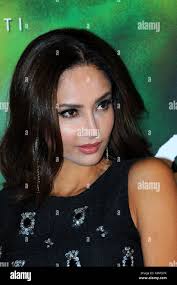 Patricia vincent Banque de photographies et d'images à haute résolution