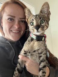 👋🏼Hi, Everyone!! With the holidays fast approaching, I know how difficult  it can be to plan to have to plan your trips, and worry about what to do  with your fur babies.🐶🐈