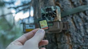 Sd card for game camera. How To Choose The Right Sd Card For Trail Camera Trail Camera Judge