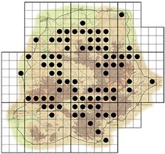 Image result for Hexalobus monopetalus