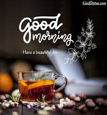 800+ Good Morning Images, Pics, Photos, & Pictures