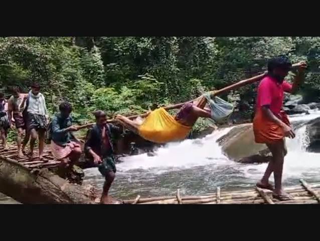No roads, Edamalakudy villagers carry 75-year-old on makeshift stretcher to hospital | Kerala news | Tribals | Onmanorama