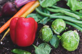 They come in a large number of varieties which range widely in their sizes, growing habits, and. Top 10 Vegetables To Grow In Your Home Garden