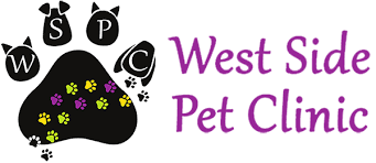 Bond vet is the upper west side's most convenient veterinarian clinic & animal hospital. West Side Pet Clinic Buffalo Ny