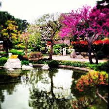 Japanese Garden Monaco Mote Carlo Resort Area Japanese Garden Riviera