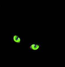 Ask The Beasts And They Will Teach You The Beauty Of This Earth Feeling Shiny This christmas tree composed of black cats with glowing eyes. ask the beasts and they will teach you the beauty of this earth feeling shiny