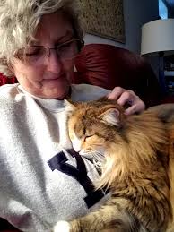 Missing cat 😞 Just moved to magnolia, Kent county from PA this passed  weekend and