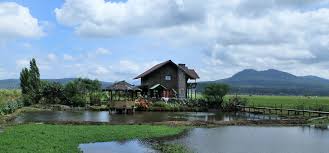 Check spelling or type a new query. Info Populer 49 Rumah Sederhana Tengah Sawah