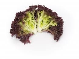 Sieh dir an, was lollo rosso (batoul2016) auf pinterest, der weltweit größten sammlung von ideen, entdeckt hat. Lollo Rossa Love My Salad