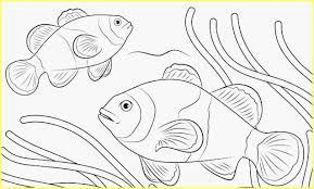 Sketsa gambar hewan untuk mozaik. 9999 Sketsa Gambar Ikan Hias Tawar Laut Lengkap Nemo Hiu Paus Lele Koi Mas Lumba Dll Sindunesia