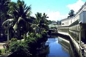 (buenos aires and environs) /ˈfiʃi/, ˈfi.ʃi. Pin On Fiji Oceania