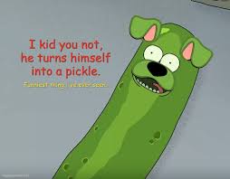 Rick And Morty Pickle Rick Extravaganza In 2020 Funny Relatable Memes Rick And Morty Doge Much Wow