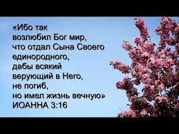 ибо так возлюбил бог этот мир что отдал сына своего Pin Na Doske Pasha