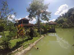In fact, in some countries it is celebrated as a public holiday. 10 Tempat Penginapan Homestay Menarik Di Janda Baik Tak Sampai Sejam Dari Kl