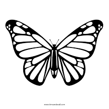 Free Butterfly Stencil Monarch Butterfly Outline And Silhouette Butterfly Stencil Butterfly Outline Butterfly Coloring Page See more ideas about butterfly, butterfly art, butterfly drawing.