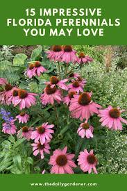 Florida produces about 74 percent of all the oranges consumed in the us every year. 15 Impressive Florida Perennials You May Love