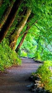 We did not find results for: Nature Green Wallpaper For Android 2021 Android Wallpapers