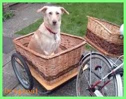 Basket And Crate Fahrradkorb Fur Hund Google Search Basketcratedog Hauslicheakzente Homeaccents Homeaccess Bicycle Basket Bike Basket Basket And Crate