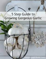 Please read our wiki for subreddit and submission guidelines, a photo guide, and resources. 5 Step Guide To Growing Gorgeous Garlic The Micro Gardener