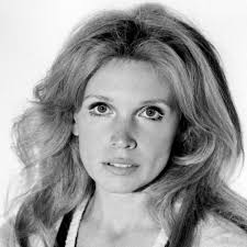 Watch Live TV, Movies, and TV Shows Free Online