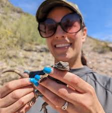 Lol being a modern educator & researcher is like...🫣 #Herpetology  #tegulizard #conservation Pikstein Lab